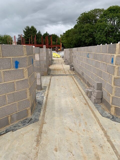 Chichester: Ground floor planks
